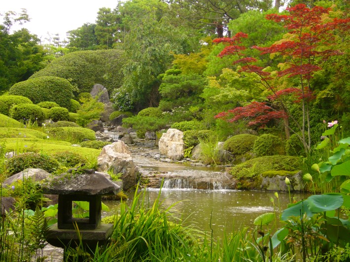 Jardín japonés en Kioto