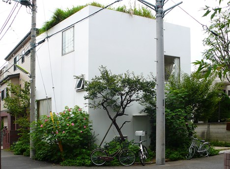 Casa en un campo de ciruelos. Kazuyo Sejima and  Associates ©