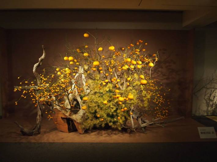 Instalación con 3 frutas en la exposición de la escuela en Kanagawa, enero de 2014