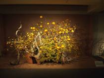 Instalación con 3 frutas en la exposición de la escuela en Kanagawa, enero de 2014