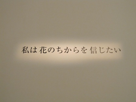 Quiero creer en la fuerza de las flores