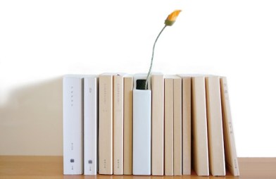 Florero de funda de libro. Fumiaki Goto©