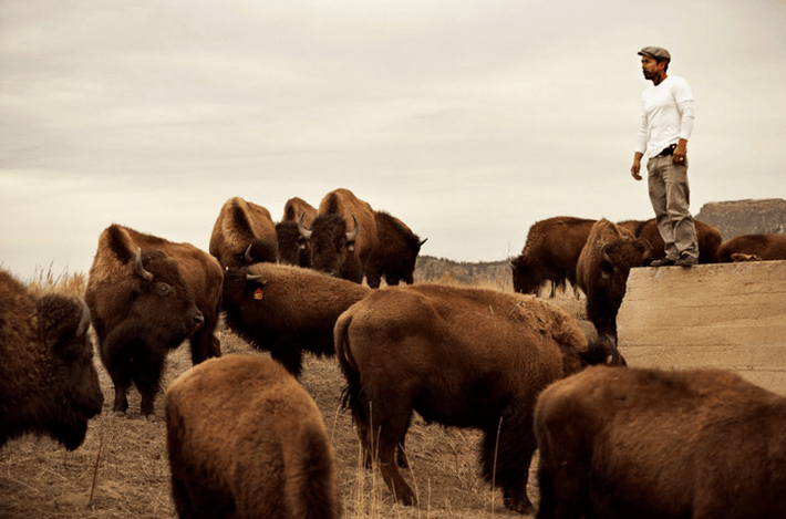 Jason y Bisontes. Vía web de Parabellum©