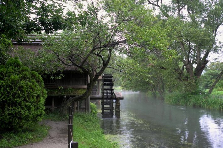 Cultivos de wasabi Daio en Nagano. Localización de la película Los Sueños de Kurosawa 1